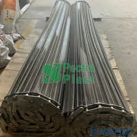 Be-er Pasteurizer Conveyor Belt