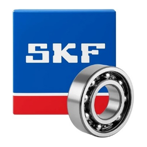 6007 CN SKF द्वारा बनाए गए गेंद पैस
