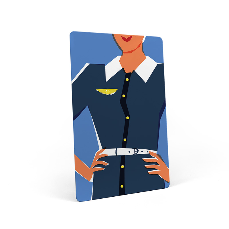 Vingcard Key Card - Application: Access Control