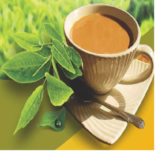 Nushaan Garden Fresh Tea 250gm