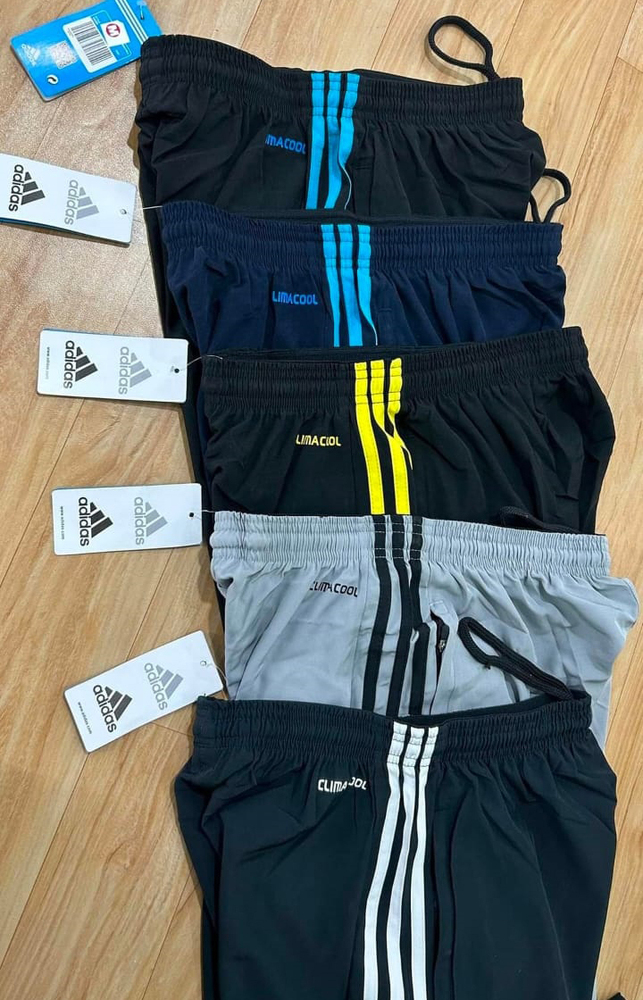 Mens Sports Track Pant