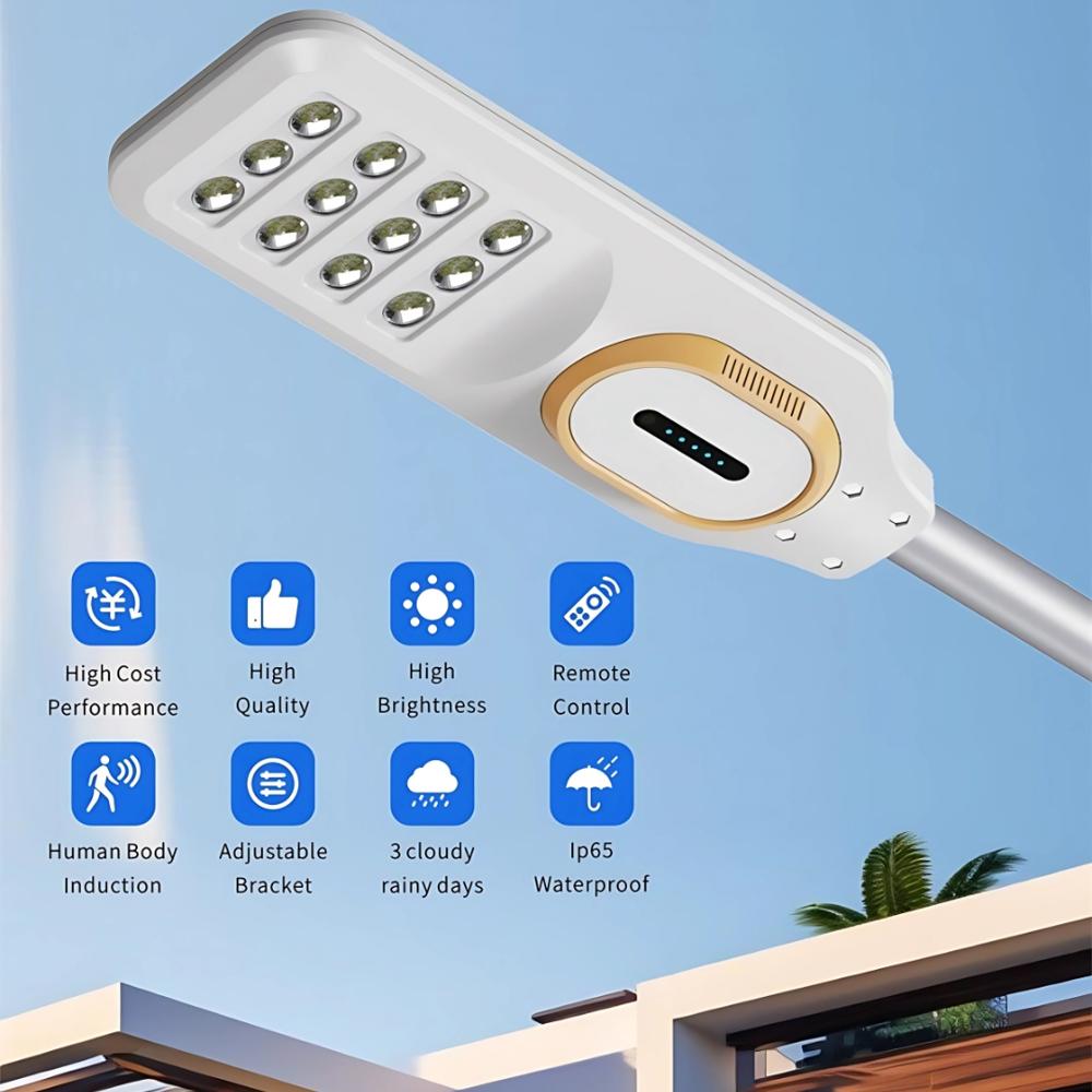 300W Solar Integrated Street Light with Motion Sensor