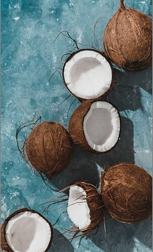 Natural Semi Husk Coconut - Color: Brown