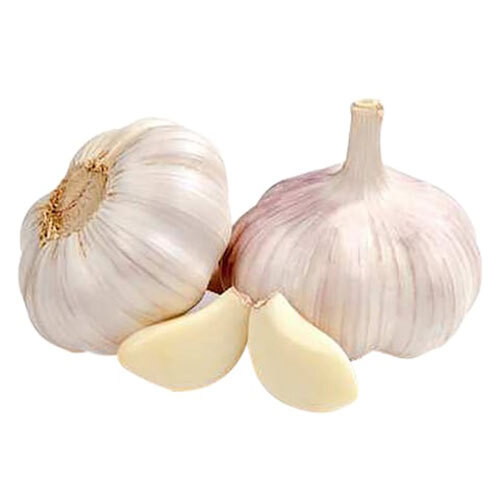 Fresh Garlic - Cultivation Type: Organic