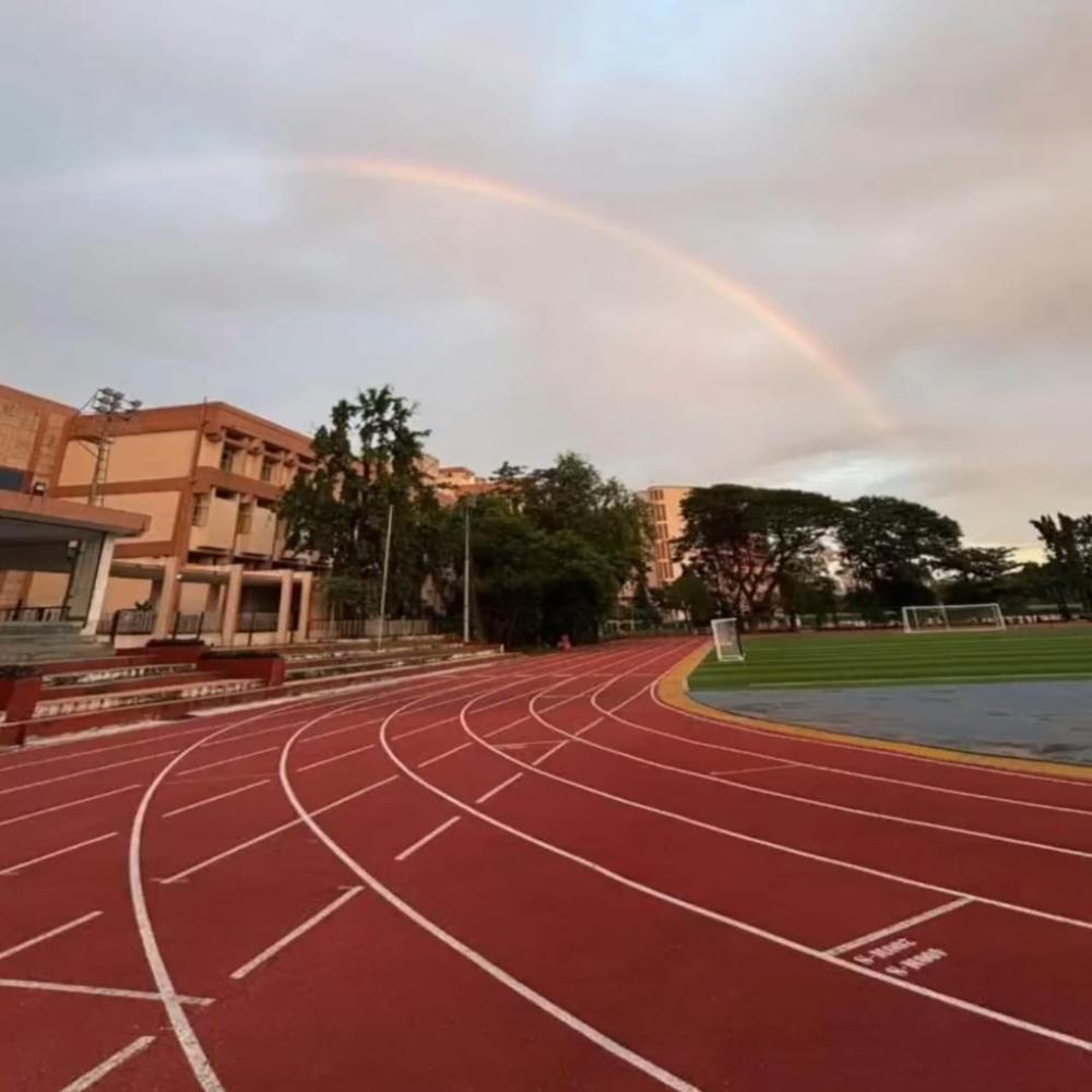 Running Track (Athletic) - Color: Red
