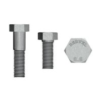 Hdg Hex Bolt & Nuts - Color: Silver