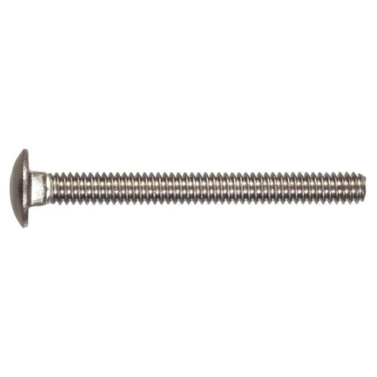 Ss Carriage Bolt - Color: Silver