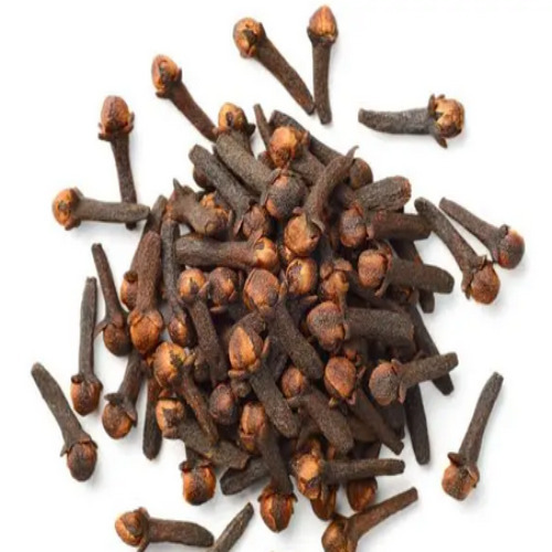 Clove Stick - Color: Black