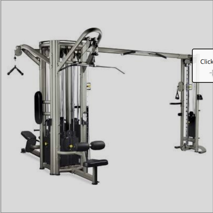 Gym Equipments - Max Loading Capacity (Kg): 300