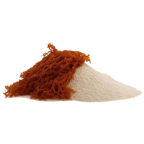 Kappa Carrageenan - Aquagel 250