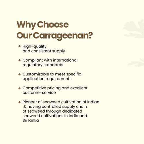 Kappa Carrageenan - Aquagel 250