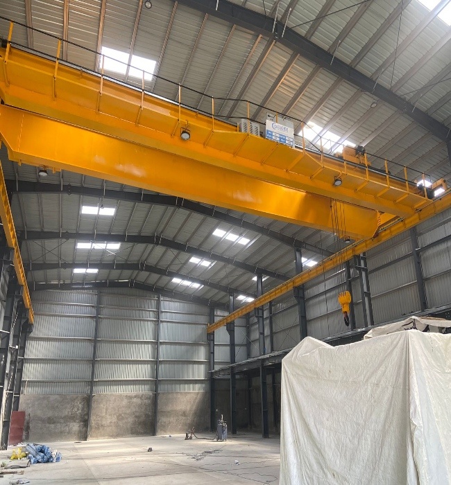 DG EOT Crane | Heavy Duty | Customize Crane | 30 Ton 