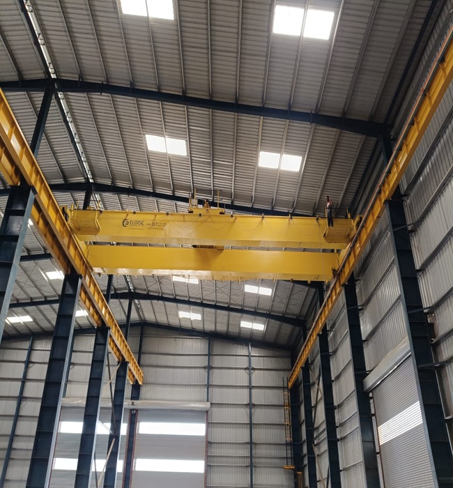 DG EOT Crane | Heavy Duty | Customize Crane | 30 Ton 