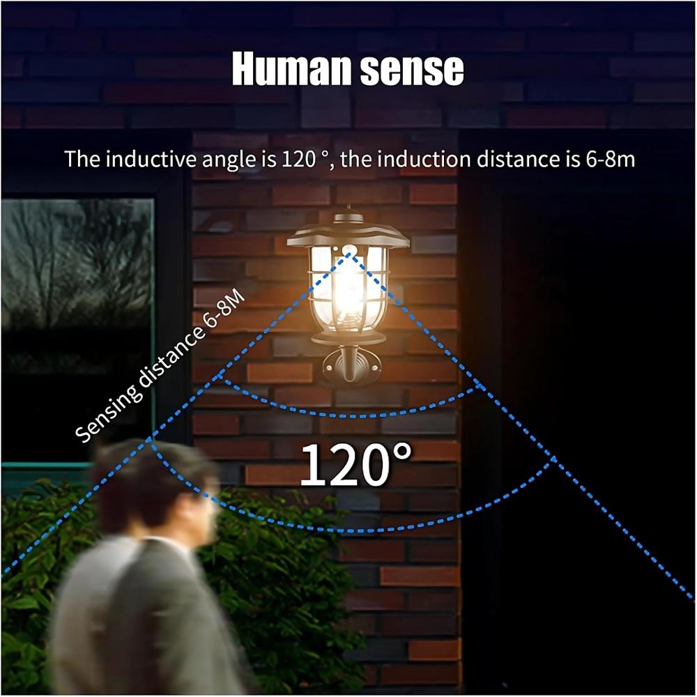 Solar Induction Lawn And Wall Light