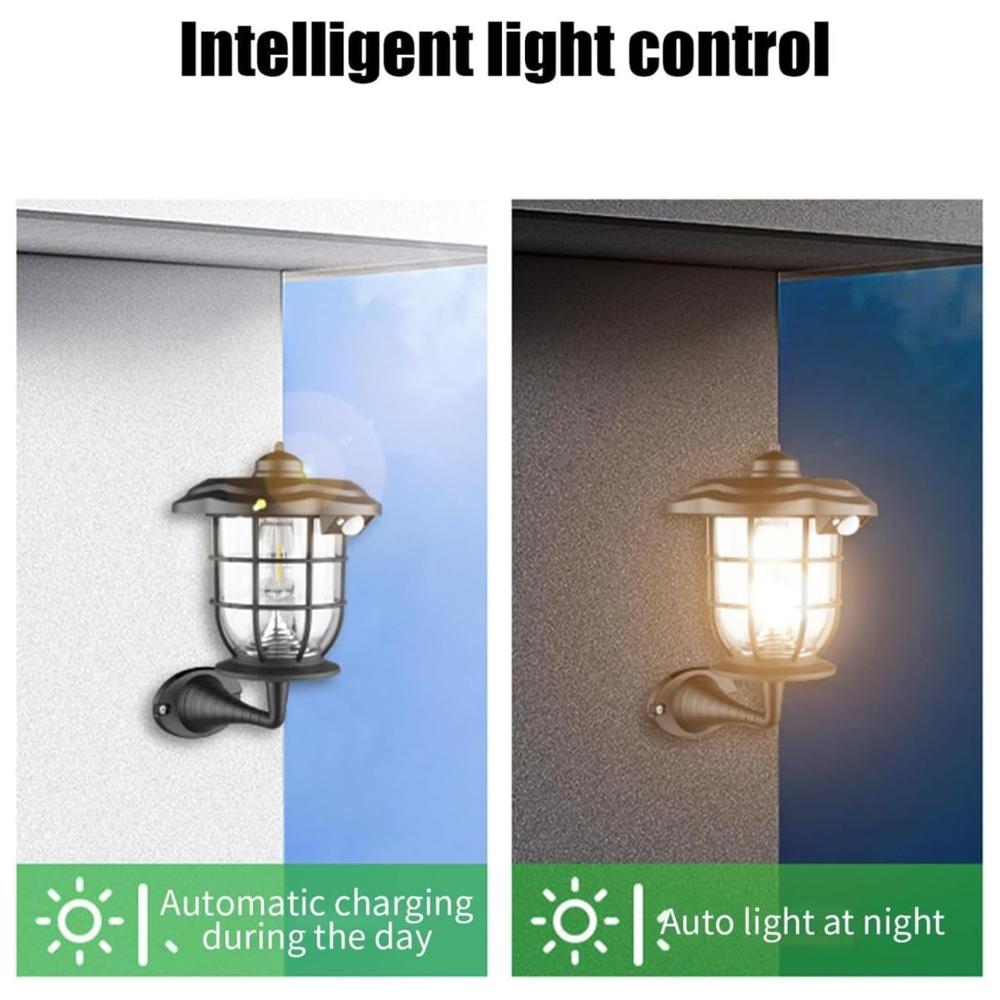 Solar Induction Lawn And Wall Light
