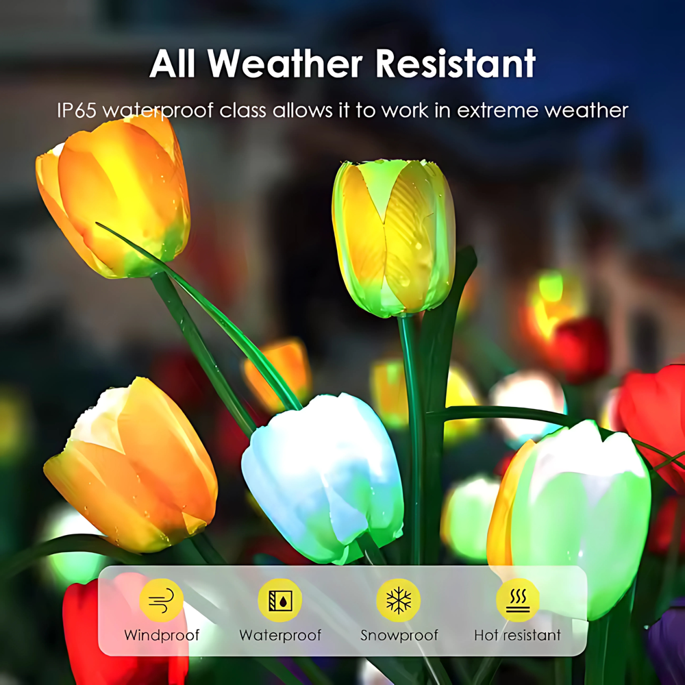 Solar LED Tulip Flower Garden Light