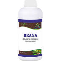 Beaveria Bassiana - Application: Agriculture