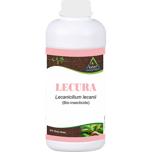 Lecanicillum Lecanii