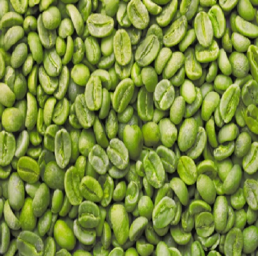 Green Coffee Beans