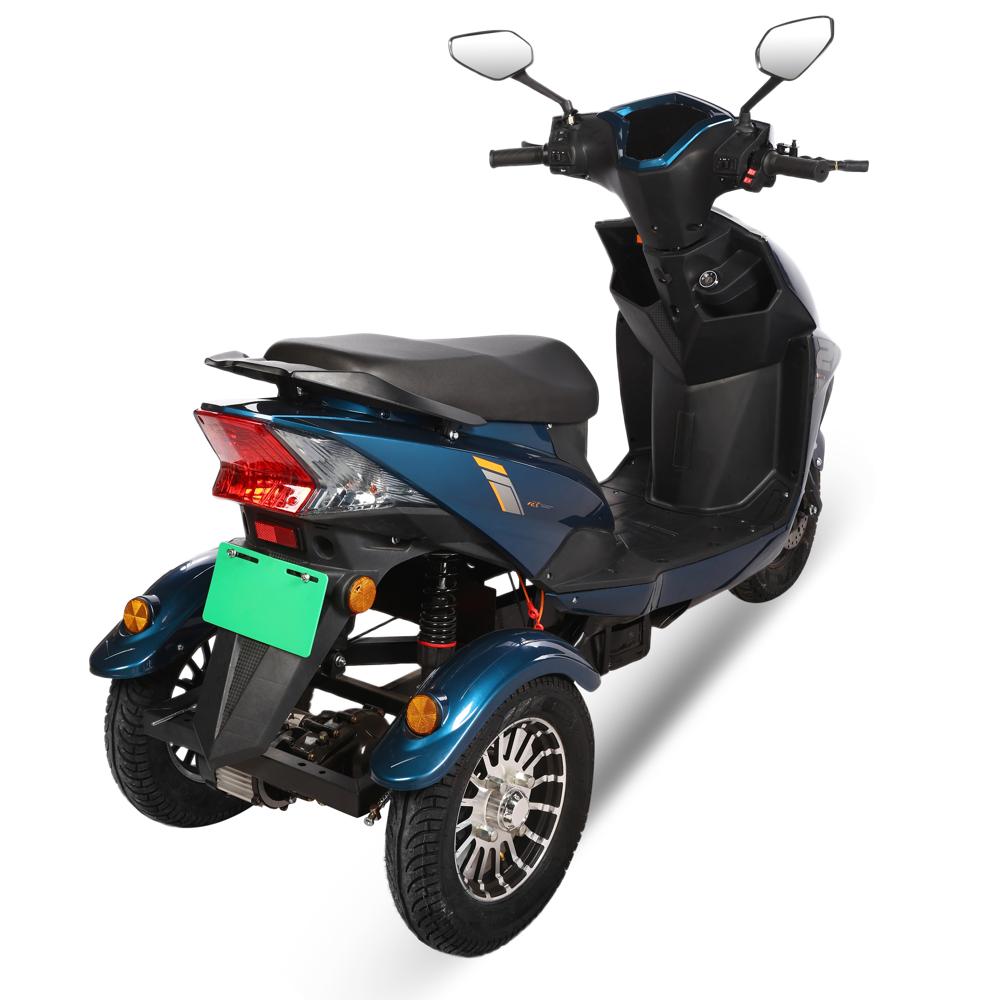 Tejas Sahara (3-wheel Handicapped) - Charger Type: Lead Acid / Lithium-ion