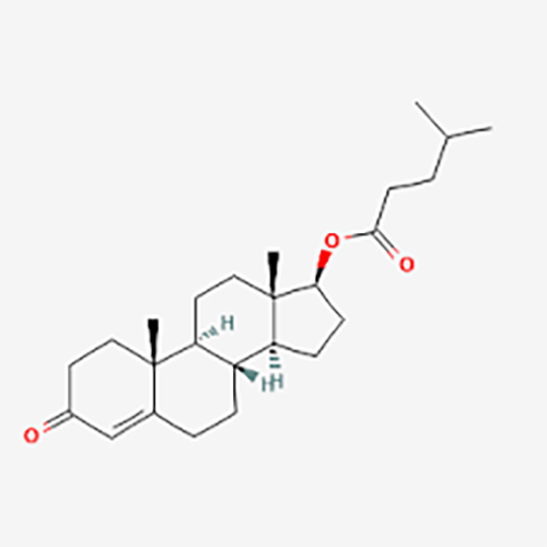 Testosterone Isocaproate