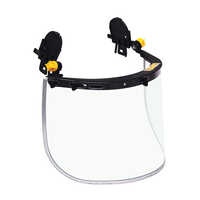 Face Shield