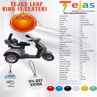 TEJAS LEAF KING (1 SEATER)