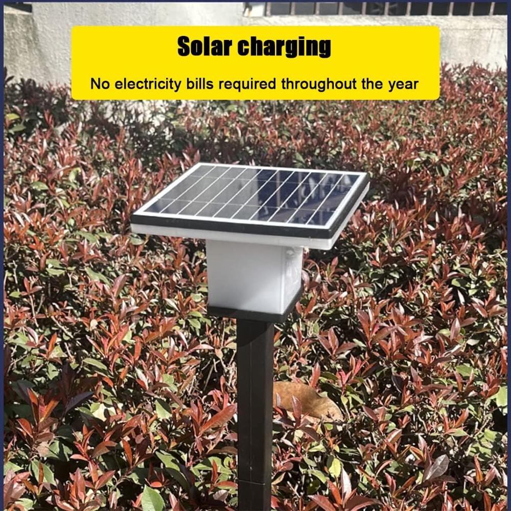 Solar Garden Pathway Light