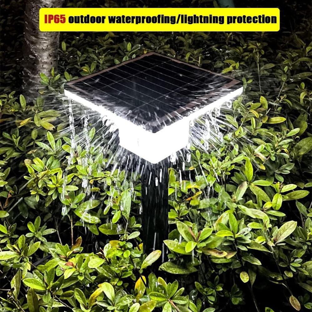 Solar Garden Pathway Light