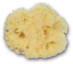 PPS/MPS - Cosmetic Grade Blending Agents | Versatile Application in Lipsticks, Nail Polish, Hair Dyes, Creams and More