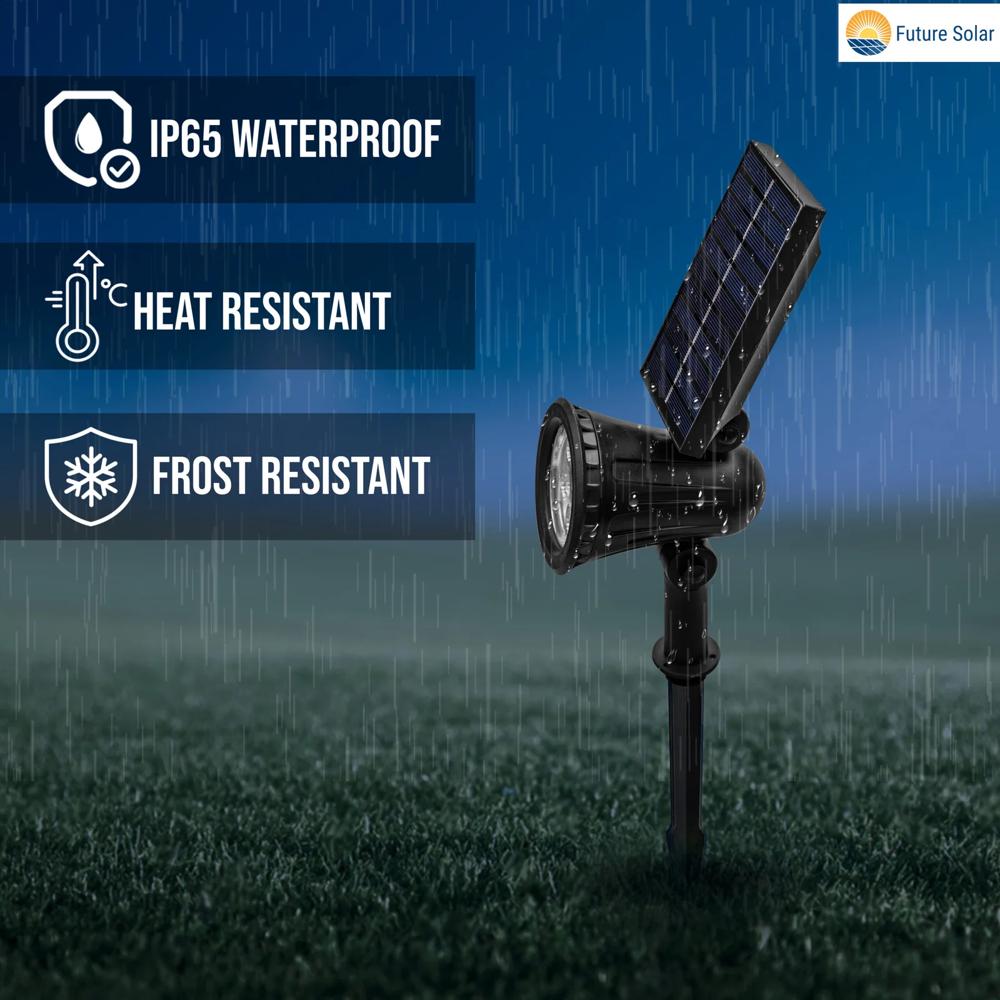 Solar Garden Spike Light