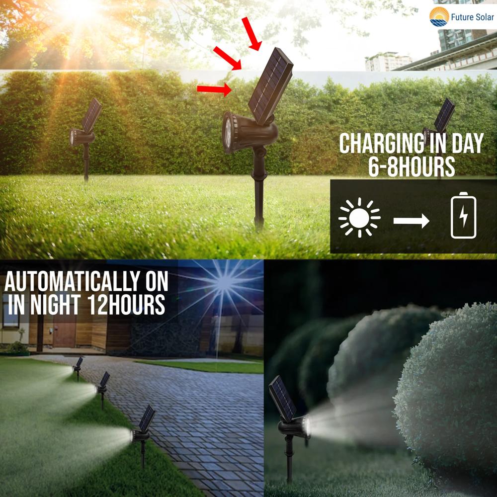 Solar Garden Spike Light