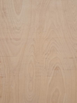 30MM FLUSH DOOR