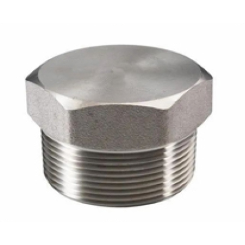 Stainless Steel Buttweld Screwed Hex Plug - Color: Different Available