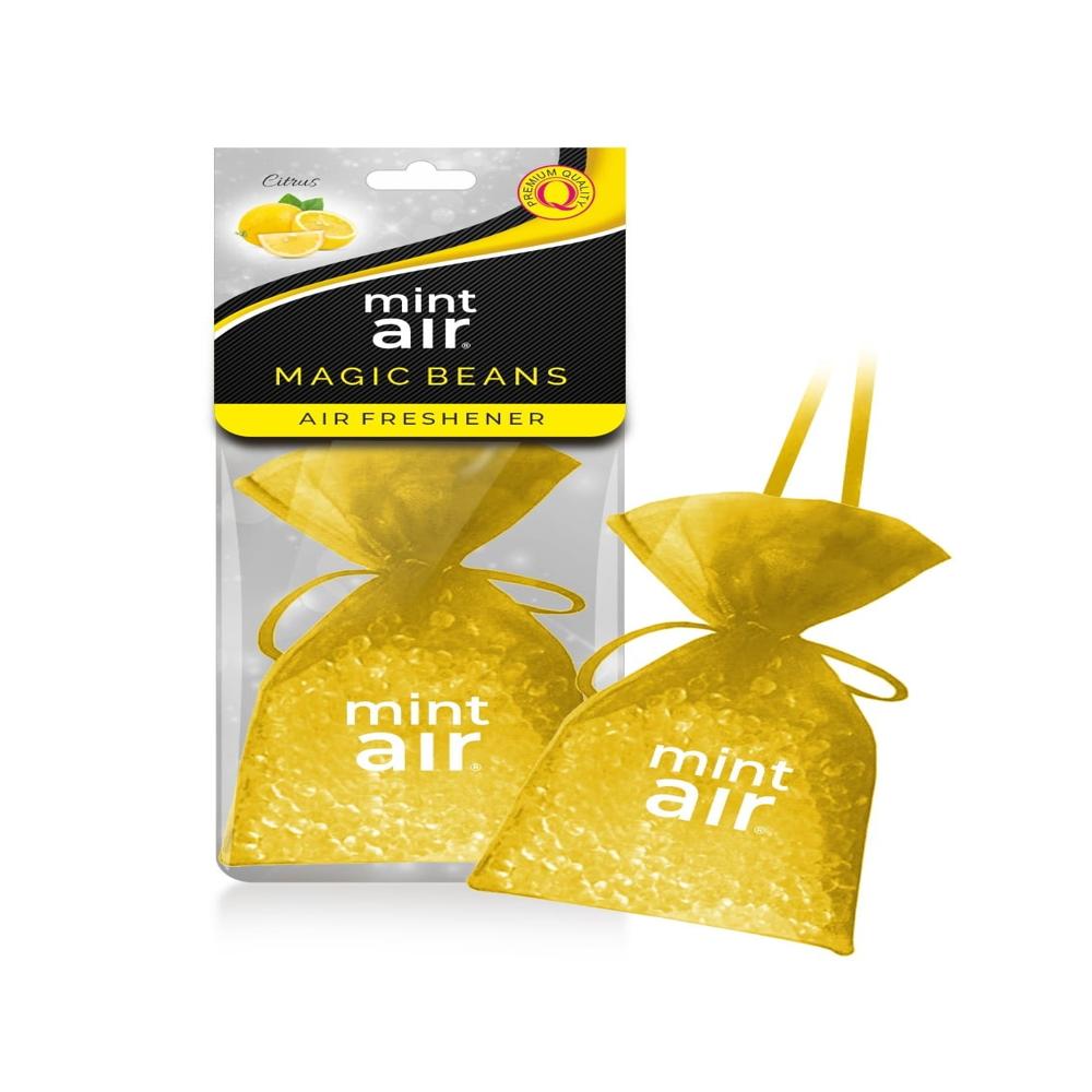 Pineapple Hanging Fresheners