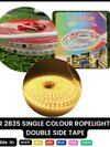 2835 Running Rope Light Set 10mtr