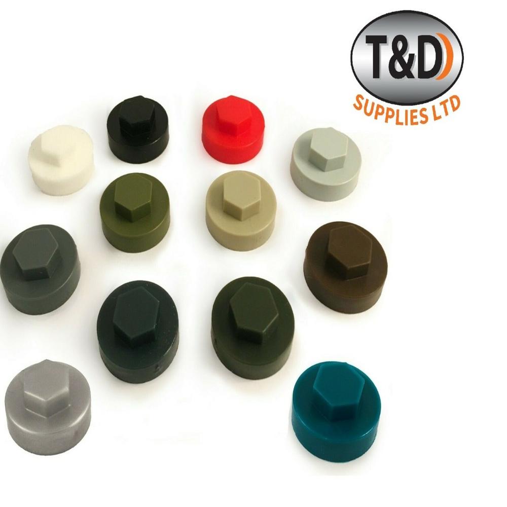 Hex SDS Screw PVC Caps