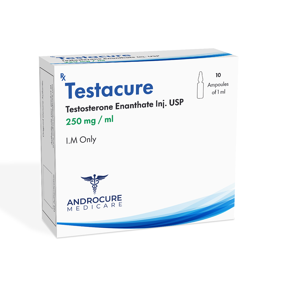 250mg Testacure Testosterone Enanthate Injection