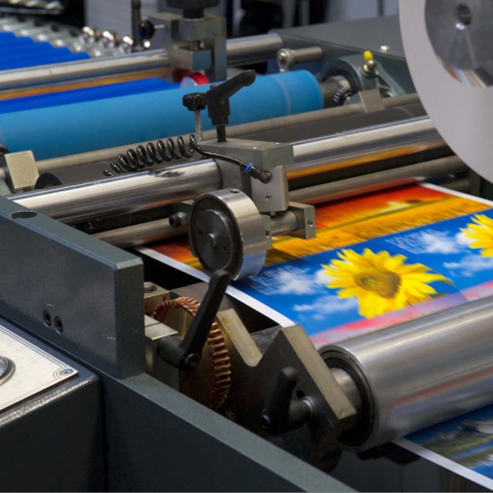 Multicolour Offset Printing Service