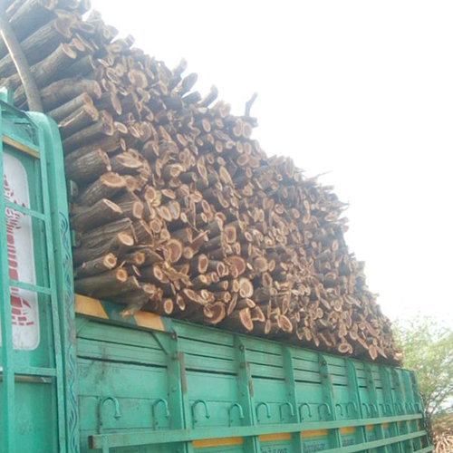 Brown Prosopis Juliflora Wood