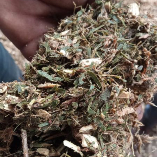 Juliflora Wood Chips