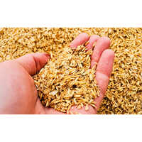 Rice Husk