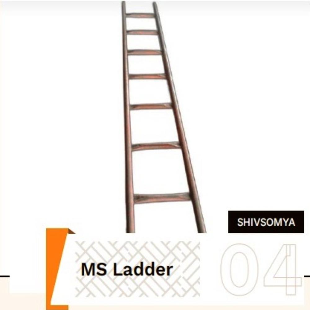 Wall Support MS Ladder