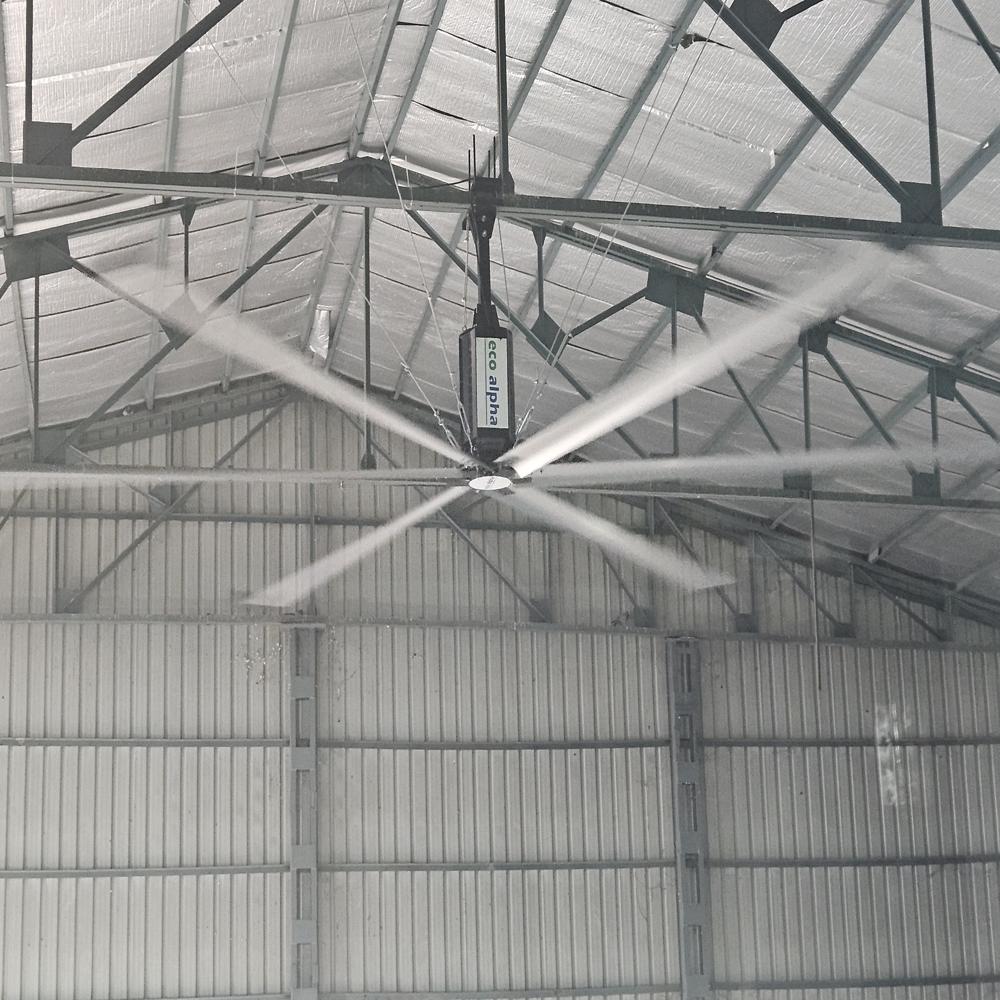 Eco HVLS Fans