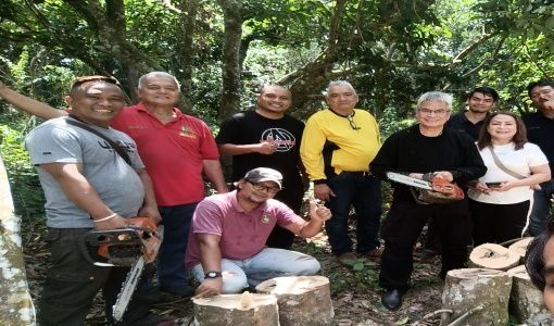 Agarwood Training Service