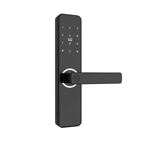 ML100 Wireless Smart Lock
