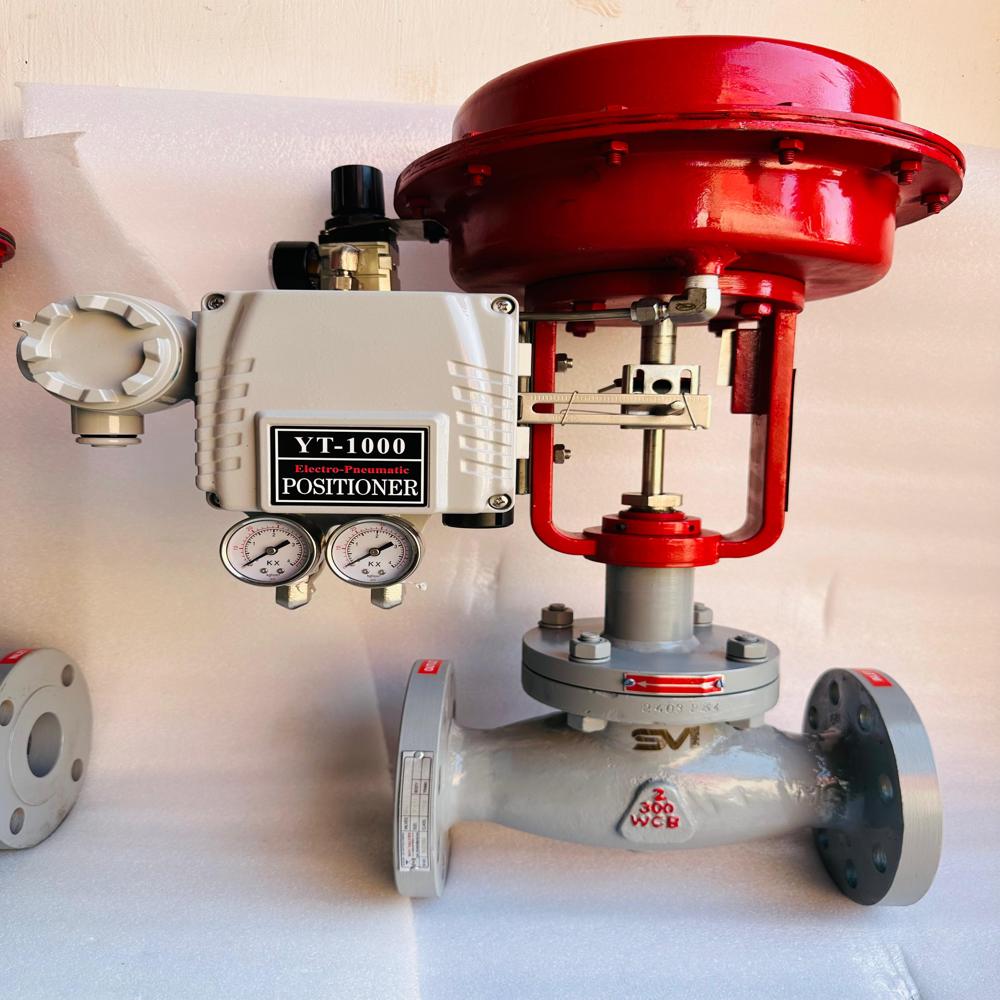Globe Control Valve - Color: Blue