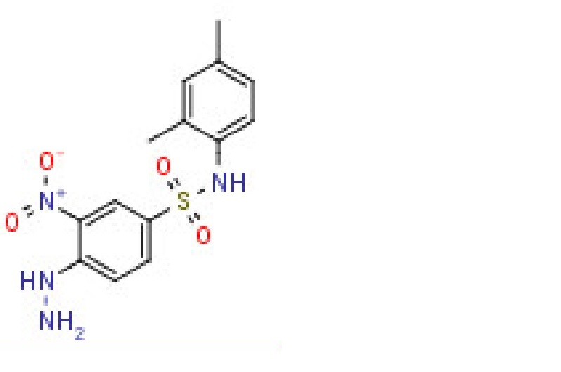 N-(2,4-Dimethyl-phenyl)-4-hydrazino-3-nitro- benzenesulfonamide