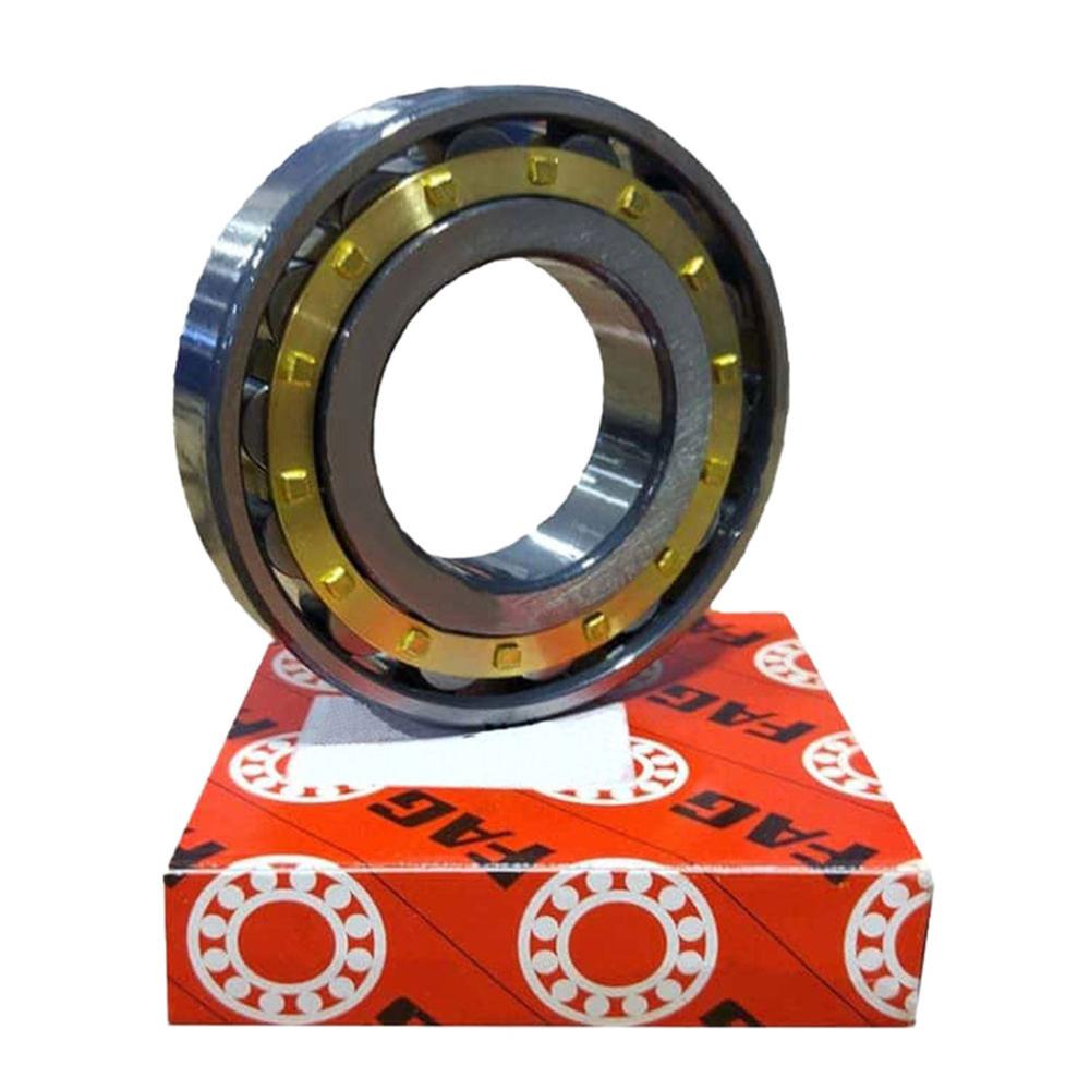 Fag Bearing - Stainless Steel, Multipurpose Dimensions | Ball Bearing, Grease Lubrication, Silver Color