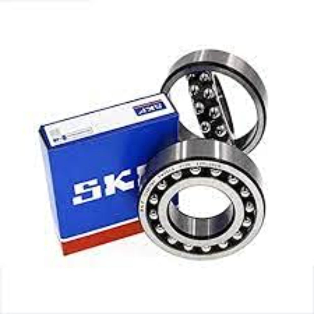 SKF Bearing